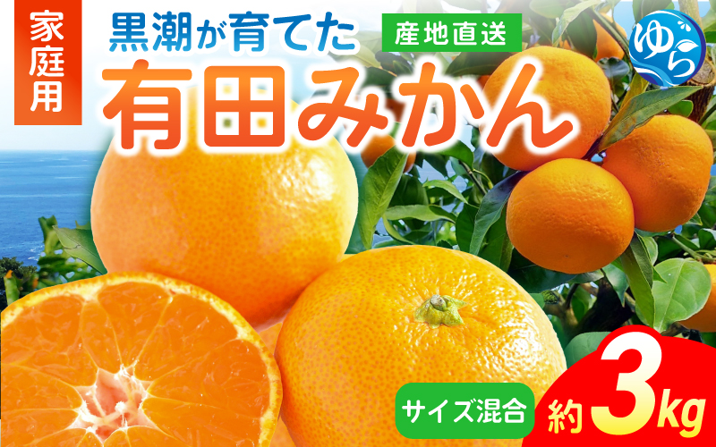 【先行予約】黒潮が育てた有田みかん（家庭用・サイズ混合）約3kg［2025年11月中旬頃から順次発送予定 ※お届け時間帯指定可］ / 蜜柑 柑橘 ミカン フルーツ 果物 くだもの 食品 人気 おすすめ 産地直送 和歌山県 由良町【ytkn022】