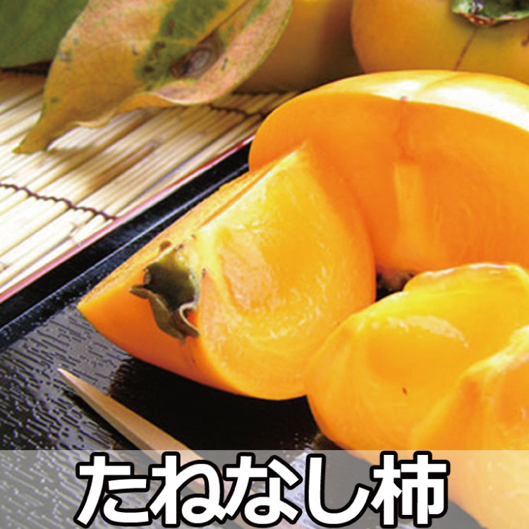 採れたてタネなし柿“Lサイズ”7.5kg＜2025年10月中旬～10月下旬頃発送予定＞【ART17】【art001A】