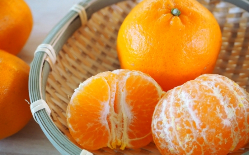 【来シーズン先行予約】ポンカン 約7.5kg サイズおまかせ 【北海道・沖縄・一部離島配送不可】【eiw004】