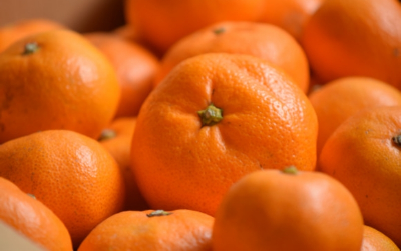 温州みかん 約5kg (サイズおまかせ)【eiw010】