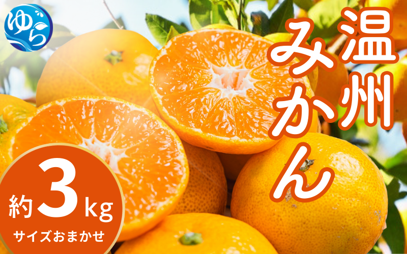 【先行予約】温州みかん 約3kg (サイズおまかせ)【2025年12月中旬から順次発送予定】※北海道・沖縄・離島配送不可 / ミカン 蜜柑 フルーツ 果物 柑橘 果実 由良町 国産 産地直送 和歌山県【eiw014】