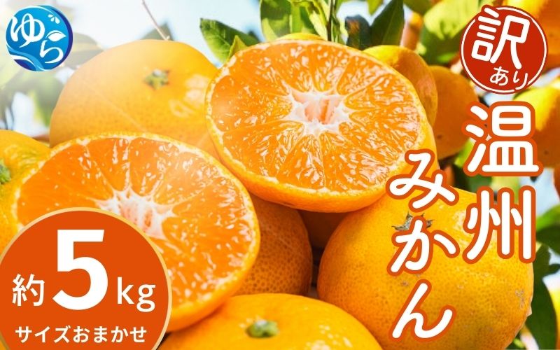 【先行予約】【訳あり】温州みかん 約5kg (サイズおまかせ)【2025年12月中旬から順次発送予定】※北海道・沖縄・離島配送不可 / ミカン 蜜柑 フルーツ ワケあり 果物 柑橘 果実 由良町 国産 産地直送 和歌山県【eiw017】