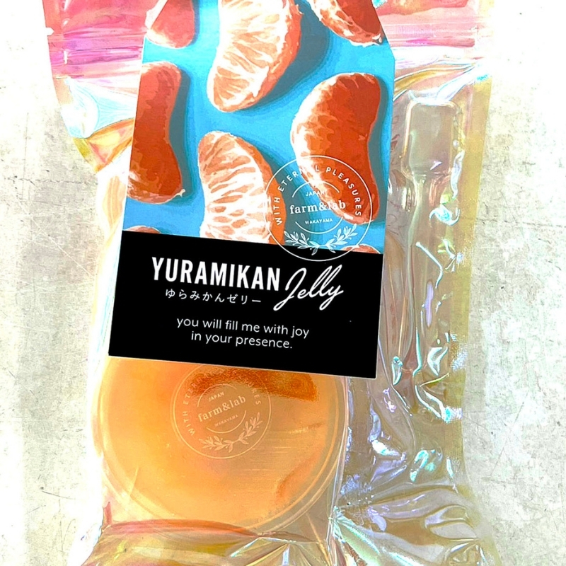 旬の2個入りゼリー26袋 みかんの美味しさぎゅっと詰めました【fmlb072】