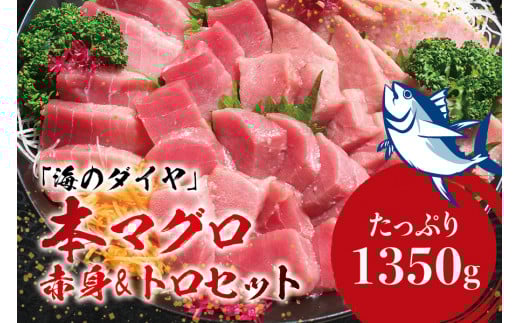 プレミア和歌山認証品 本マグロ（養殖）トロ＆赤身セット　1.35kg【nks111B】