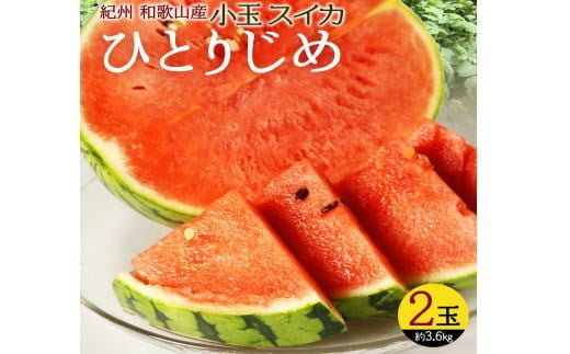 紀州和歌山産 小玉スイカ「ひとりじめ」 2玉【2025年6月上旬頃～2025年6月下旬頃に順次発送】【UT86】【uot779】