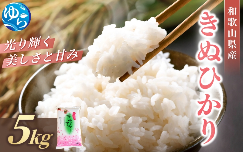和歌山県産 キヌヒカリ 5kg（2025年産）令和7年産 ※2025年9月中旬より順次発送予定【sml101E】