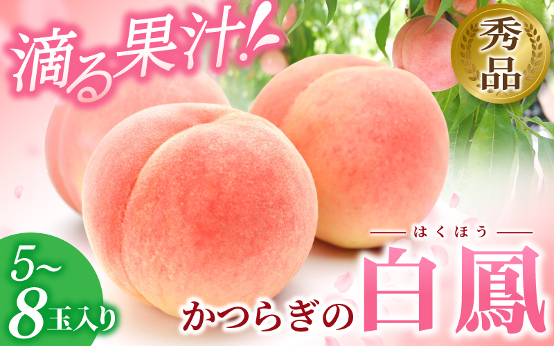 【受付停止まで残りわずか！】和歌山県産 白鳳 桃 5～8玉入り 秀品 先行予約【2025年6月下旬以降発送】【MG6】【mtgn053A】