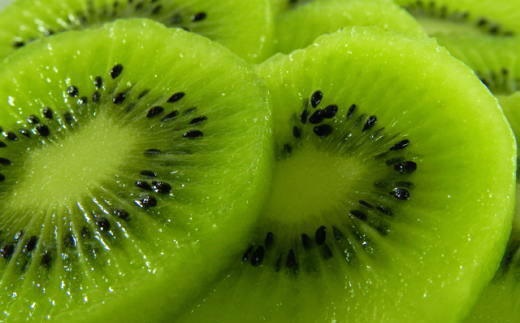 和歌山の下津で採れたキウイフルーツ約3.6kg（玉数おまかせ・秀品）★2026年１月中旬頃より順次発送［TM111］