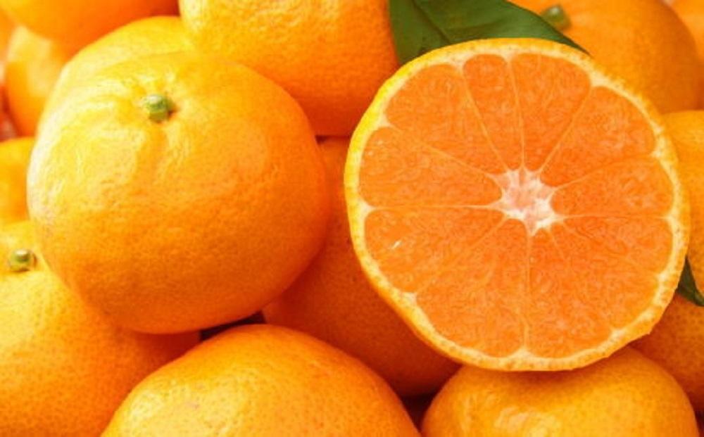 ［食べごたえ十分］和歌山有田みかん大玉約9kg(3Lサイズ・秀品）★2026年11月中旬頃より順次発送