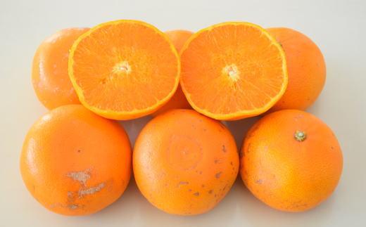 (訳あり・ご家庭用)一度は食べていただきたい「有田産のせとか」約4kg～5kg★2026年２月中旬頃より順次発送［TM210］