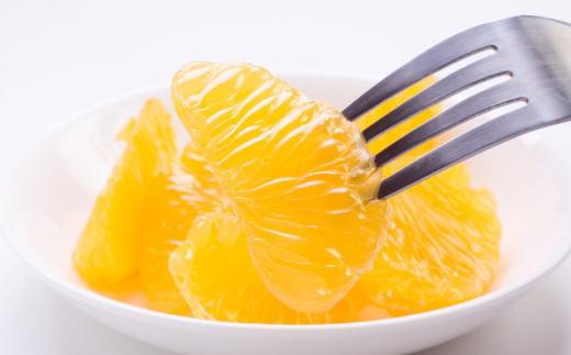 ［産直］和歌山由良町産の木成り熟成八朔約10kg（L～4Lサイズをお届け）★2026年3月中旬頃より順次発送［TM137］