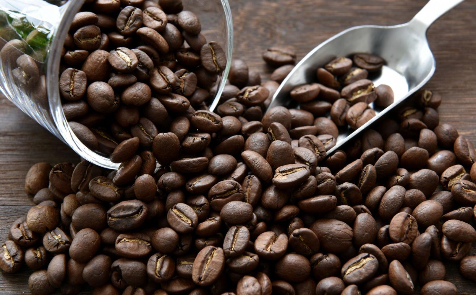 自家焙煎コーヒー豆（ハウスダークブレンドコーヒー）300g ［TM193］