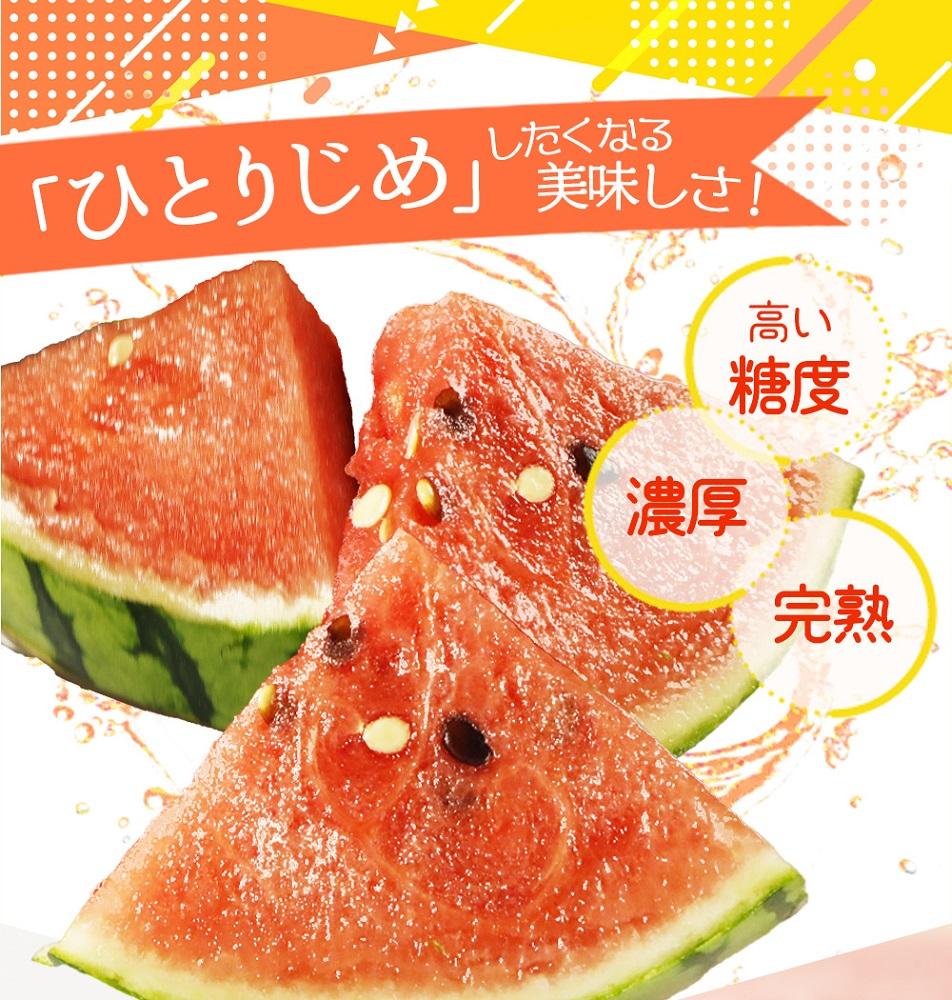 紀州和歌山産 小玉スイカ「ひとりじめ」 1玉【2026年6月中旬頃～2026年7月上旬頃に順次発送】【UT85】