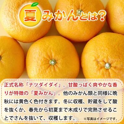 夏みかん 7.2kg［2026年4月中旬頃から発送］［先行予約］［UT73］