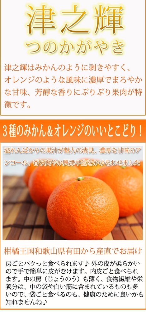 津之輝(つのかがやき)　５ｋｇ【2026年2月上旬頃～2026年2月下旬頃に順次発送】【UT21】