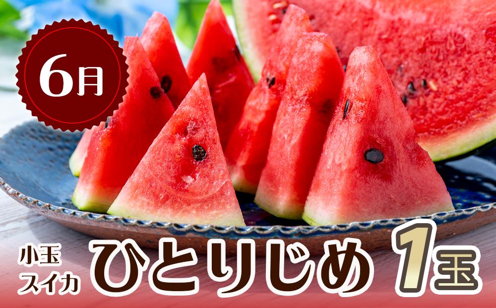 【6・8・10月 全3回】和歌山産 旬のフルーツのお楽しみ 定期便 【魚鶴商店】【UT112】