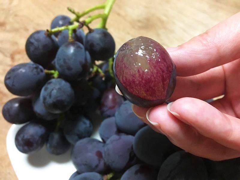 紀州有田産 ブラックオリンピア (ハチミツぶどう) 約2kg［2026年8月中旬以降発送予定］［UT107］