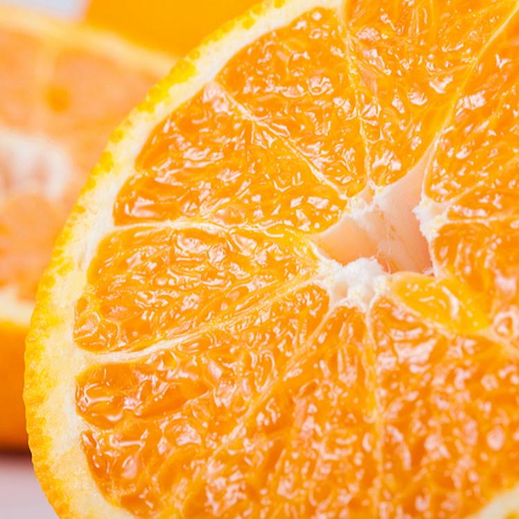 有田育ちの濃厚不知火(ご家庭用) 約2.5kg［先行予約］［MS40］