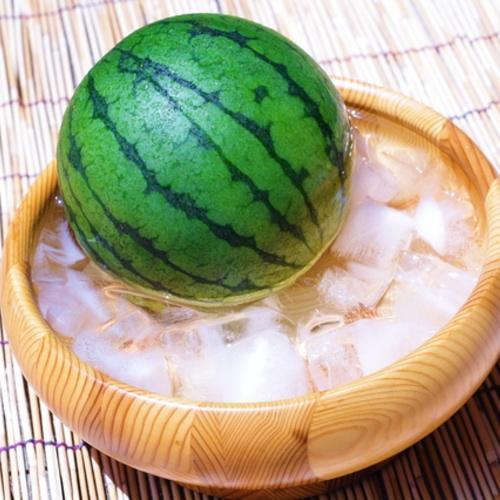 ［先行予約］厳選 小玉すいか Ｍサイズ／１玉入り［農家直送］［先行予約］［和歌山県産］［MS126］