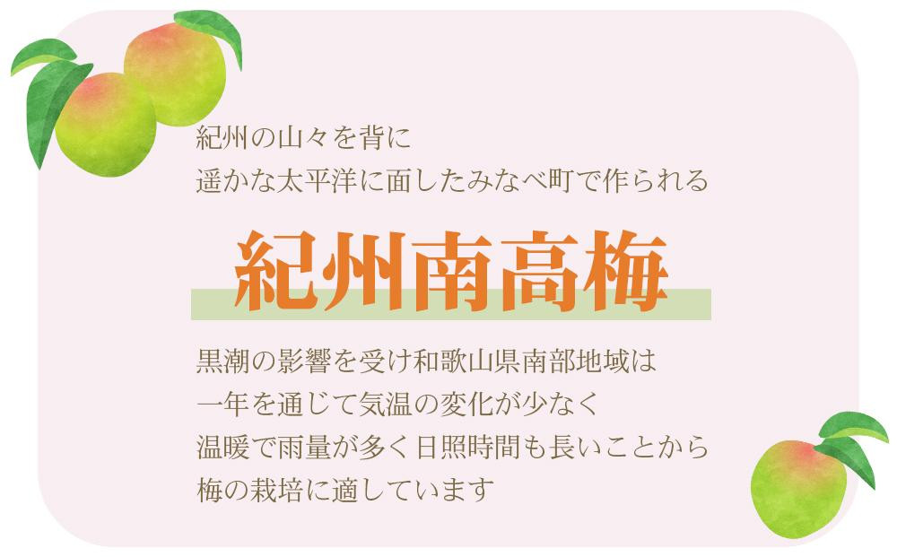 ［訳あり］ご家庭用 紀州南高梅 はちみつ漬つぶれ梅 600g×1個 わけあり 和歌山県産