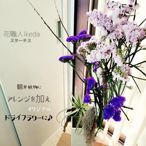 生花《スターチス》 花職人Ikeda（バイオレット）