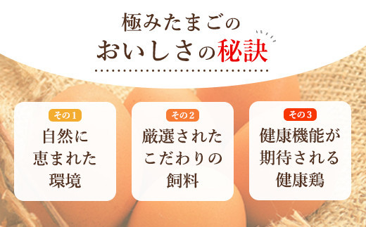 紀の国みかん極みたまご36個 卵 たまご 玉子 タマゴ 鶏卵  卵かけご飯