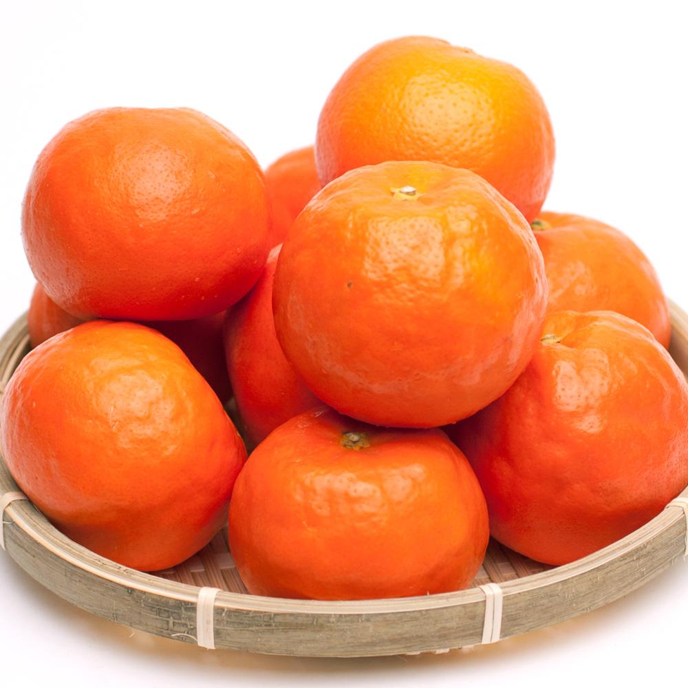 ［先行予約］厳選 セミノールオレンジ2.5kg+250g（傷み補償分）［春みかん］［有田産］［光センサー食べ頃出荷］［IKE153］