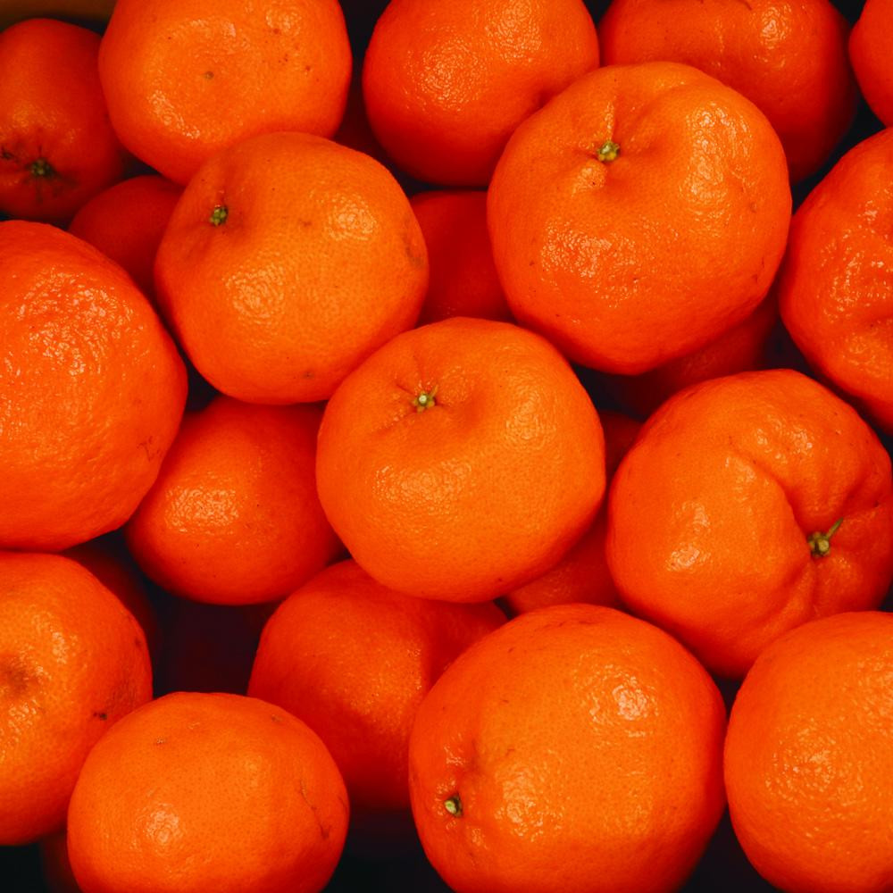 家庭用 ポンカン10kg+250g（傷み補償分）［IKE258］