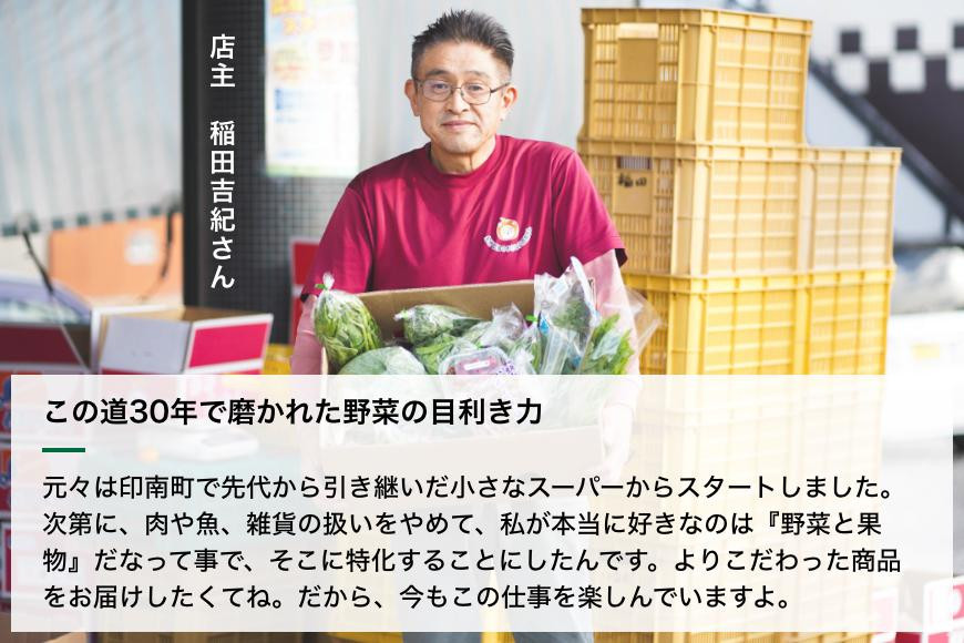 旬の新鮮野菜詰め合わせ 8種以上【野菜セット】 詰め合わせ やさい 果物 新鮮 旬 産地直送 採れたて 朝採れ みずみずしい 甘い 美味しい 人気 安心 安全 おすすめ 和歌山 県印南町
