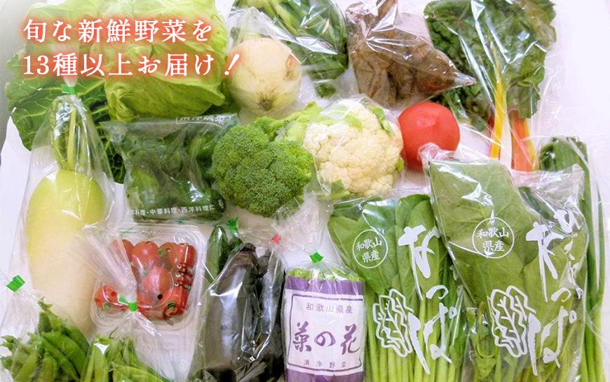 旬の新鮮野菜セット 大満足な13種以上【野菜詰め合わせ】詰め合わせ やさい 果物 新鮮  旬 産地直送 採れたて 朝採れ みずみずしい 甘い 美味しい 人気 安心 安全 おすすめ和歌山県　印南町