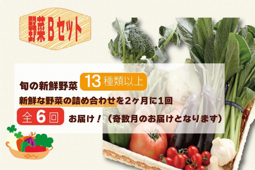 【定期便 / 全6回：奇数月お届け】旬の新鮮野菜セットB（たっぷり13種類以上）詰め合わせ やさい 果物 新鮮 旬 産地直送 採れたて 朝採れ みずみずしい 甘い 美味しい 人気 安心 安全 おすすめ 和歌山 県印南町