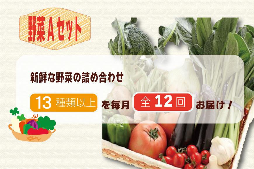 【毎月お届け全12回】旬の新鮮野菜セットＡ（たっぷり13種類以上）詰め合わせ やさい 果物 新鮮 旬 産地直送 採れたて 朝採れ みずみずしい 甘い 美味しい 人気 安心 安全 おすすめ 和歌山 県印南町