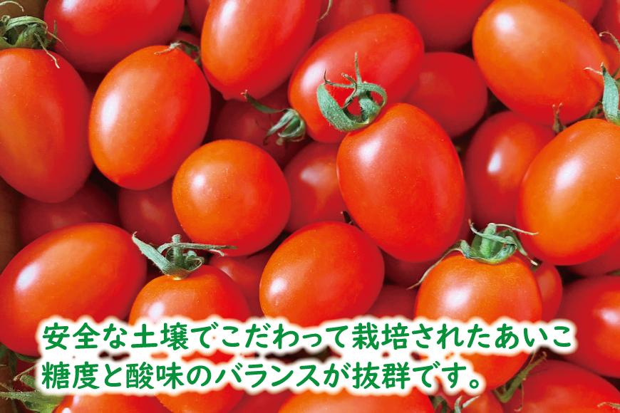 高糖度完熟ミニトマト 約2kg 【あいこ】