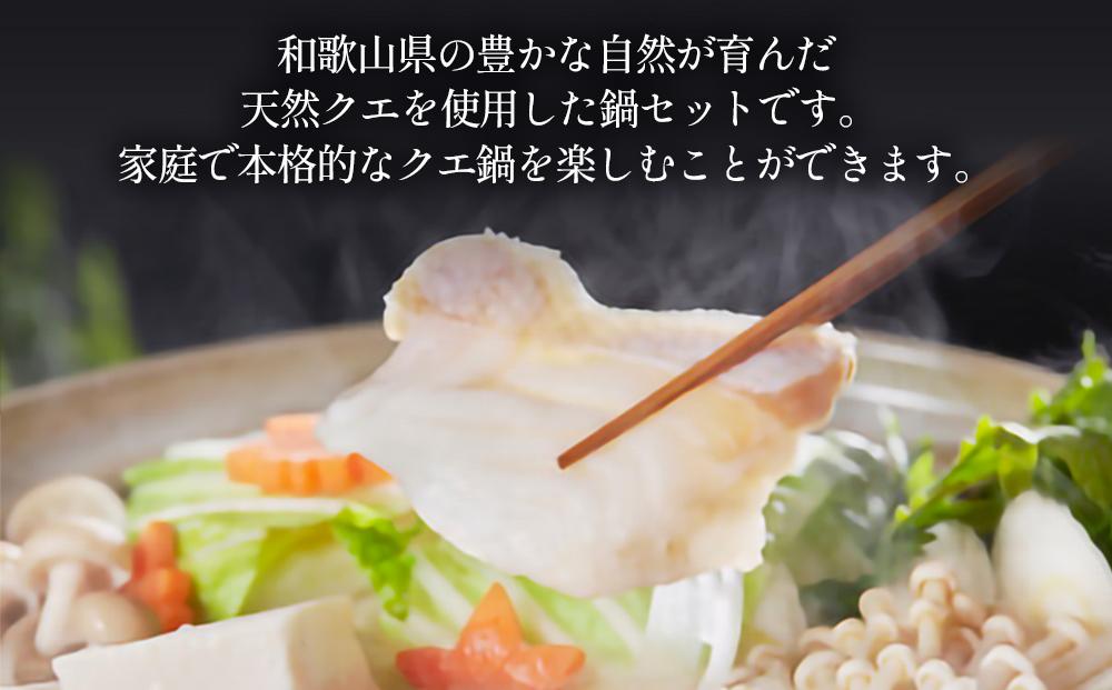 紀州の最高級天然クエ鍋セット 500g《2〜3人前》