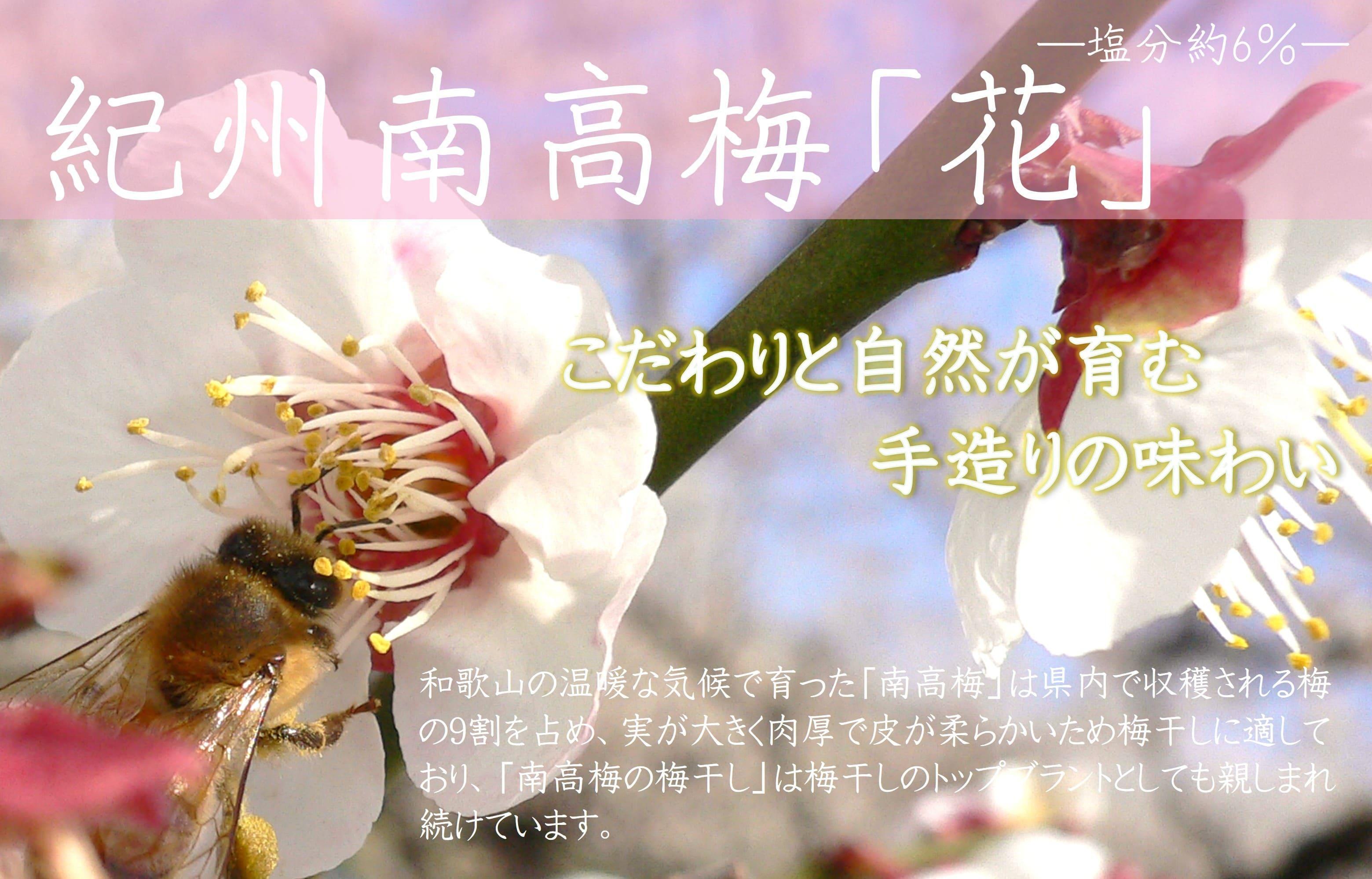 紀州南高梅 「花」 塩分約6％ 850g ［YM8］