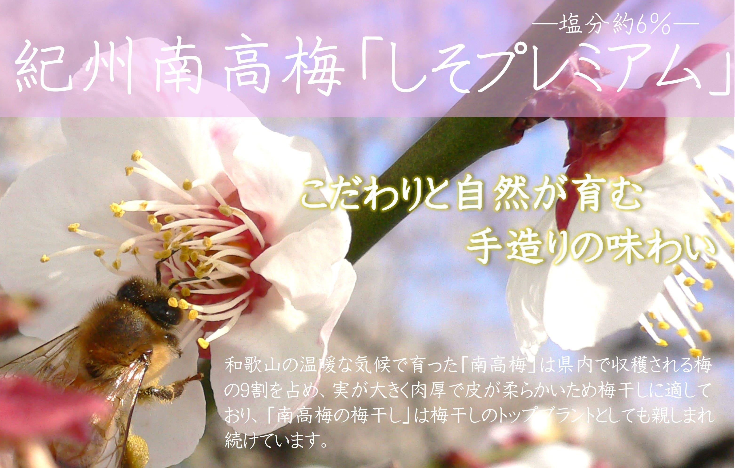 紀州南高梅 しそプレミアム塩分約6％ 850g ［YM14］