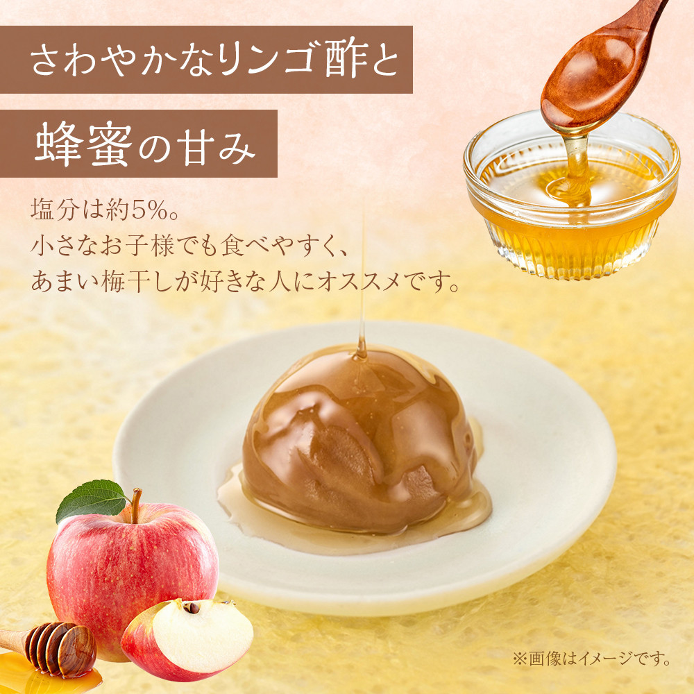 紀州南高梅 蜂蜜つぶれ梅 塩分5％ 2kg (500g×4) ［Kn23］