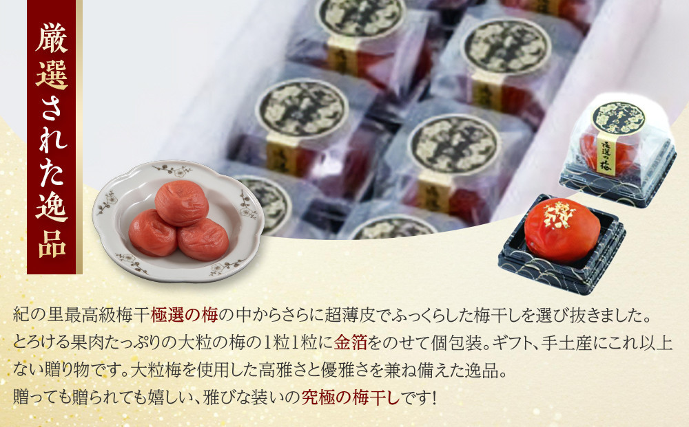 梅干し 極選の梅 天帝の舞 1箱10粒入り ［Kn11］