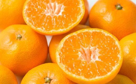  [秀品]和歌山有田みかん約6kg(3Lサイズ) ★2025年11月中旬頃より順次発送