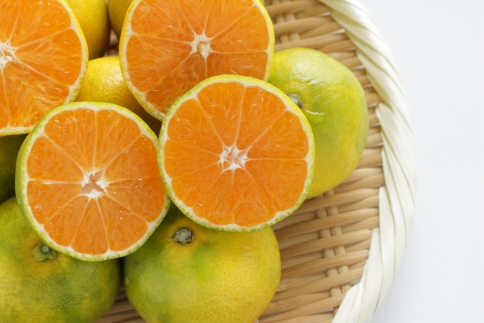 ［産直］YN26極早生みかん約5kg（2S～Mサイズおまかせ）★2026年9月中旬頃より順次発送［TM13］