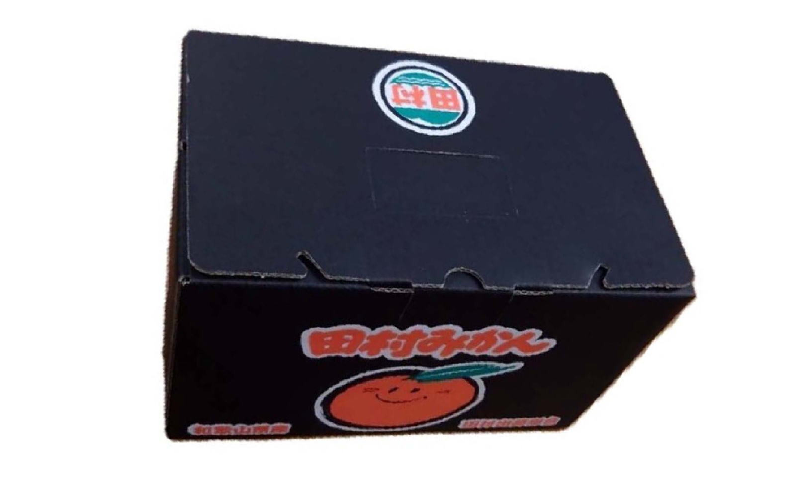 ［ブランドみかん］田村みかん約3kg（S・M・Lサイズおまかせ・秀品）★2026年11月下旬頃より順次発送