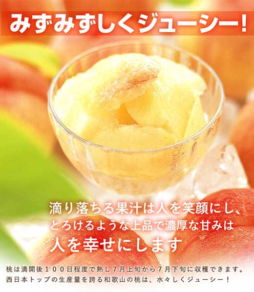 和歌山県産 白鳳 桃 11～15玉入り秀品［2026年6月下旬以降発送］［MG90］