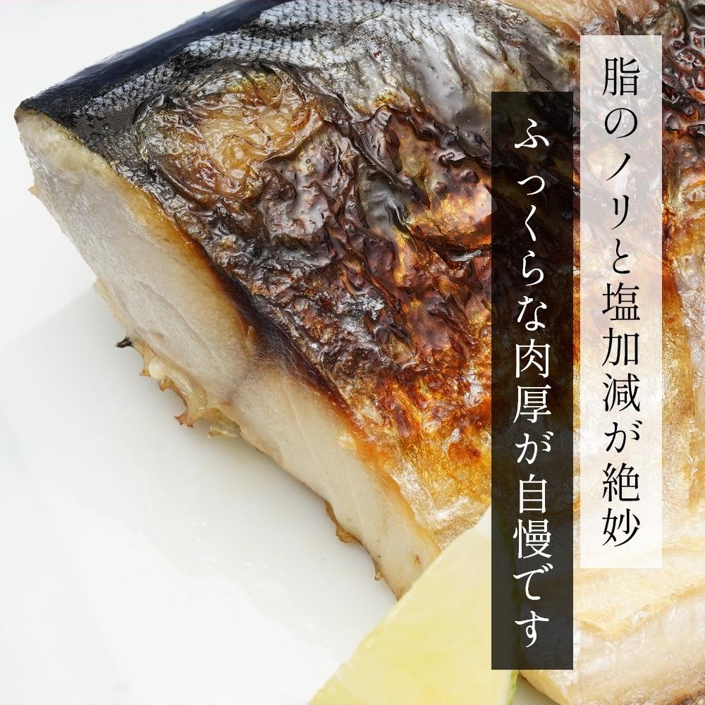 塩さばフィレ８枚入(真空パック入)　冷凍 さば サバ 鯖 おかず 焼くだけ   切り身 塩サバ  塩鯖 焼き魚 煮魚