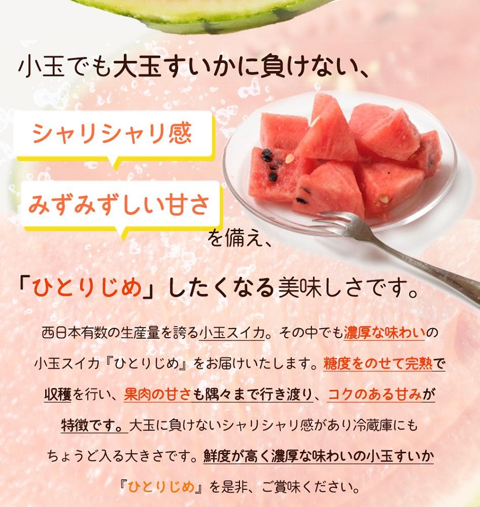 紀州和歌山産 小玉スイカ「ひとりじめ」 1玉【2026年6月中旬頃～2026年7月上旬頃に順次発送】【UT85】