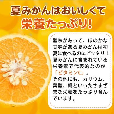 夏みかん 7.2kg［2026年4月中旬頃から発送］［先行予約］［UT73］