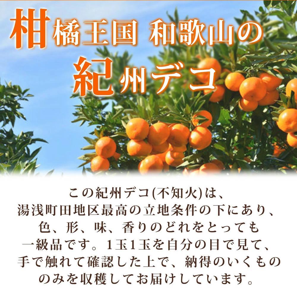 高級ブランド田村の完熟紀州デコ(不知火)［先行予約］［UT44］