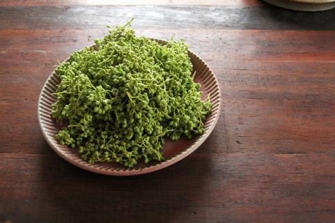 【熊野牛】すき焼き・しゃぶしゃぶ ローススライス 500g (粉山椒付) 【SW40】