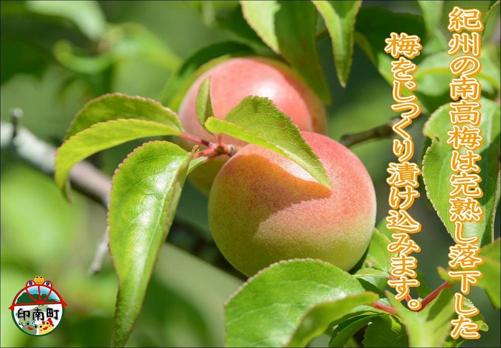 【家庭用】紀州南高梅　はちみつ梅　1.2kg