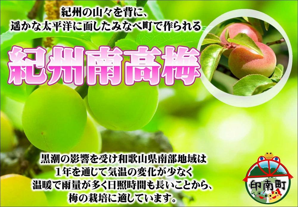 とまと梅　100g×5個