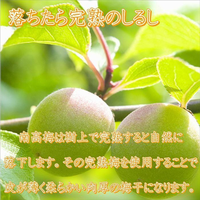 梅干し いなみの里梅園 紀州南高梅 はちみつ梅 850g 塩分約8％【農林水産大臣賞受賞】印南町